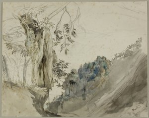 Châtaignier espagnol - John Ruskin