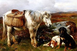 Poney des Highlands avec des chiens