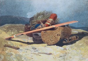 Poissons et gouvernail