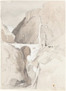 Gorge avec souches d