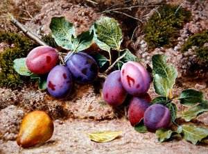 Nature morte avec prunes et poire sur une berge moussue, c.1855
