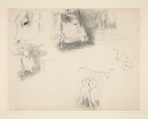Vaches et moutons