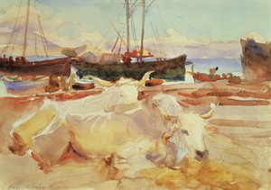 Bœufs sur la plage à Baia, c.1908