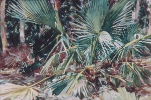 Palmiers, 1917