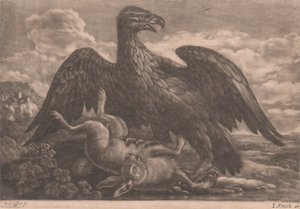 Aigle et lièvre