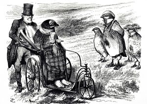 Dessin humoristique commentant la suspension de la chasse au tétras pour permettre à la population de se reconstituer. Illustré par John Tenniel (1820-1914), un illustrateur anglais, humoriste graphique et caricaturiste politique - John Tenniel