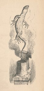 Le Lézard, 1889