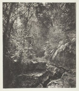 Un col de montagne à Formose - John Thomson