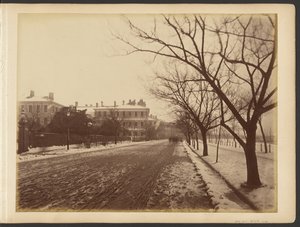[Route enneigée]