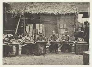 Cueillette de thé à Canton, vers 1868 - John Thomson