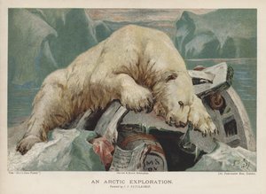 Une exploration arctique : un ours polaire enquêtant sur des objets d