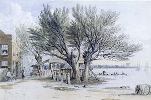 Bâtiments et arbres taillés sur les rives de la Tamise, Millbank