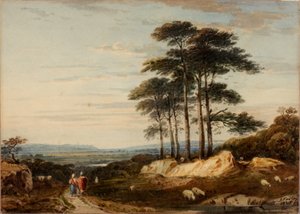 Paysage