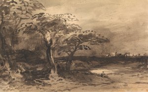 Rivière, arbres et ville lointaine