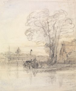 Arbres surplombant une rivière