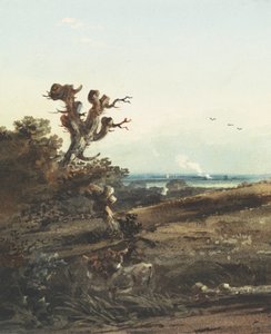 Deux ânes dans un paysage