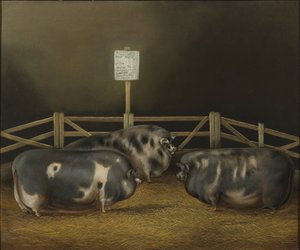 Premier prix au Smithfield Club Show £10 n° 299 appartenant à M. George Beale de Frowlesworth, Lutterworth, médaille d