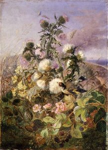 Un Chardonneret et un Papillon parmi les Chardons et les Fleurs de Mûrier