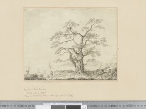 Vue sur le rivage, grand arbre au centre, vers 1783-84