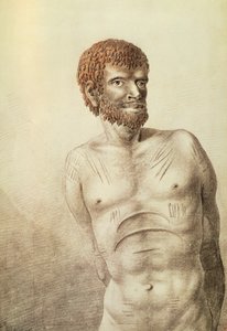 Autochtone de la Terre de Van Diemen, maintenant Tasmanie, janvier 1777