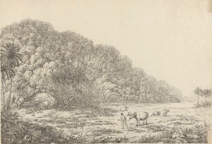 Vue sur l