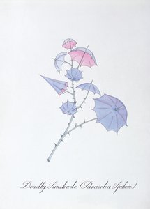 Deadly Sunshade (Parasolia Spikeii.), illustration de 