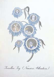 Joie des Voyageurs (Nausica Atlantica), illustration de 