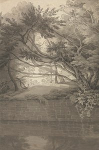 Arbres surplombant un lac - John White Abbott
