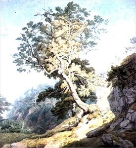 Vue près de Canonteign, Devon