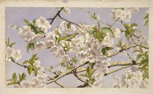Fleurs de pommier, vers 1874 - John William Hill