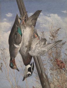 Oiseaux de gibier suspendus - John William Hill