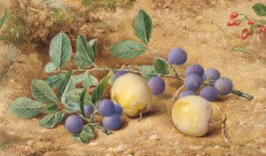 Prunes, 1870