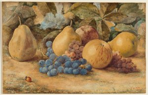 Nature morte de fruits : pommes, poires et raisins sur le sol