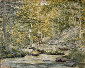Étang Forestier avec des Hommes Pêchant - John William Hill