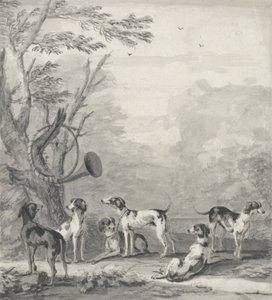 Chiens dans un paysage