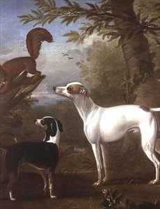 Deux chiens de chasse attirés par un écureuil sur une souche d