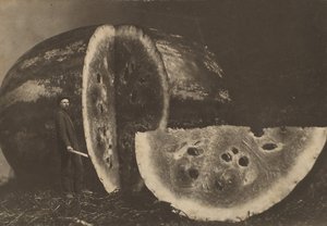 Homme coupant une pastèque