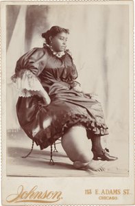 Portrait de femme, c. 1890 (photo) - Johnson