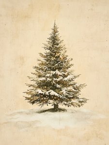 Lumières de Noël sur un sapin enneigé - Jolly and Dash