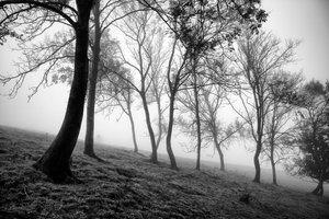  - Jon Nicholson