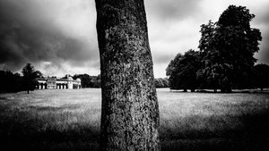 Le domaine de Goodwood dans le West Sussex, Royaume-Uni, 2020 (photo)