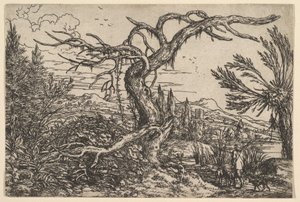 Paysage avec un chasseur et ses chiens - Jonas Umbach