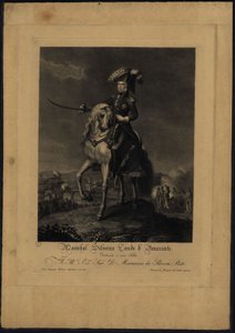 Maréchal Silveira Comte d