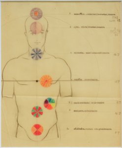 Les sept chakras - Joost Schmidt