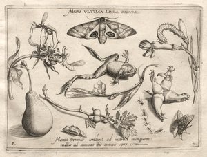 Archétypes et Études : La mort est la ligne qui marque la fin de tout (Partie II, planche 5)
