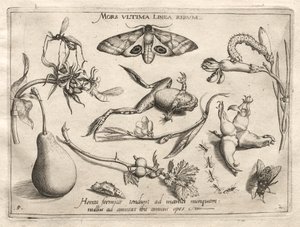 Archétypes et études : La mort est la ligne qui marque la fin de tout Partie II, planche 5, 1592
