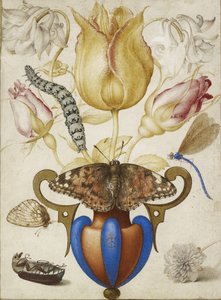 Arrangement de fleurs dans un vase, avec des insectes, 1594 (aquarelle avec or sur vélin)