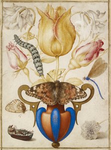 Arrangement de fleurs dans un vase, avec insectes, 1594
