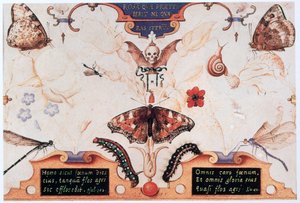 Diptyque avec des fleurs et des insectes - Joris Hoefnagel