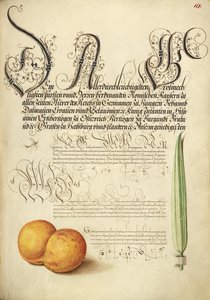 Éphémère, abricot et roseau